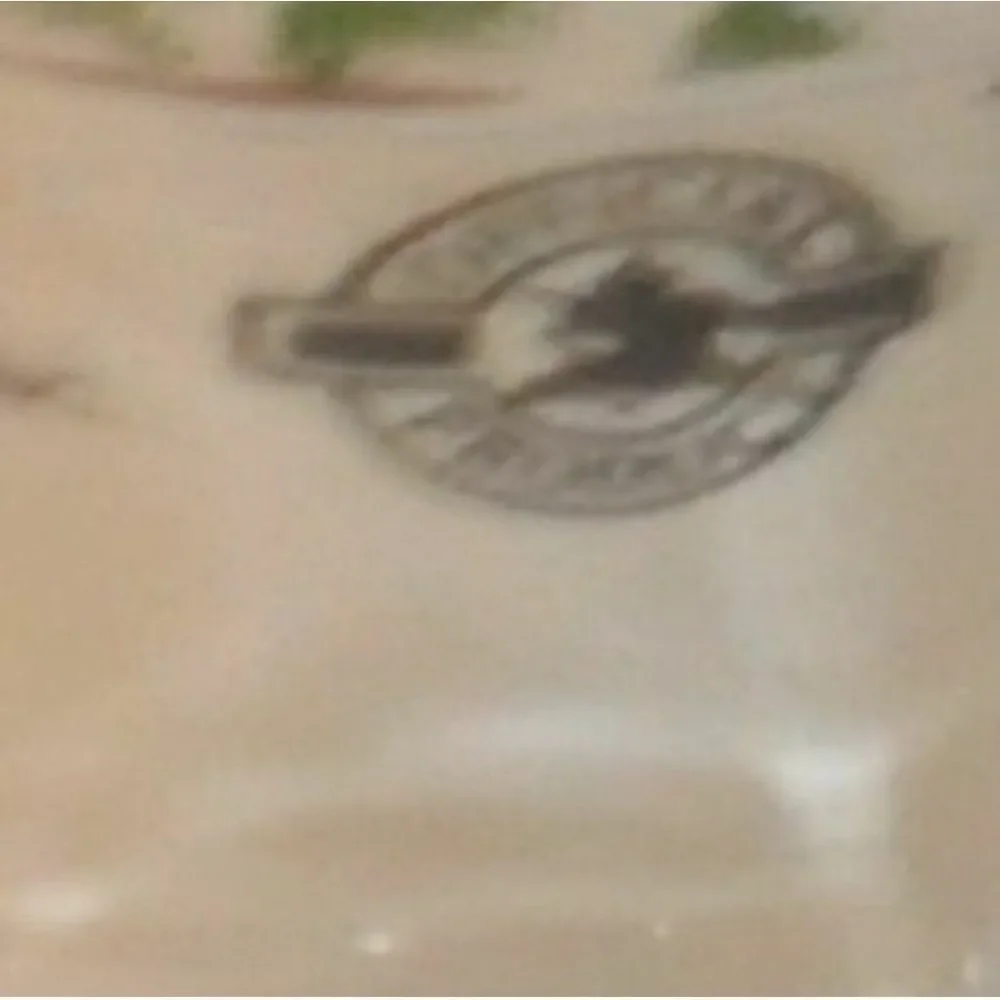 Set of 2 Official Budweiser Clydesdale Beer Glasses